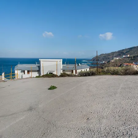 Milailea טקורונטה